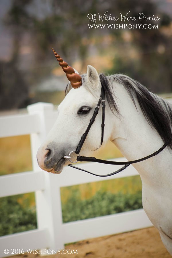 unicorn https review unicorn https review
